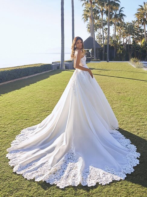 Provonias Lace Wedding Dress with Train